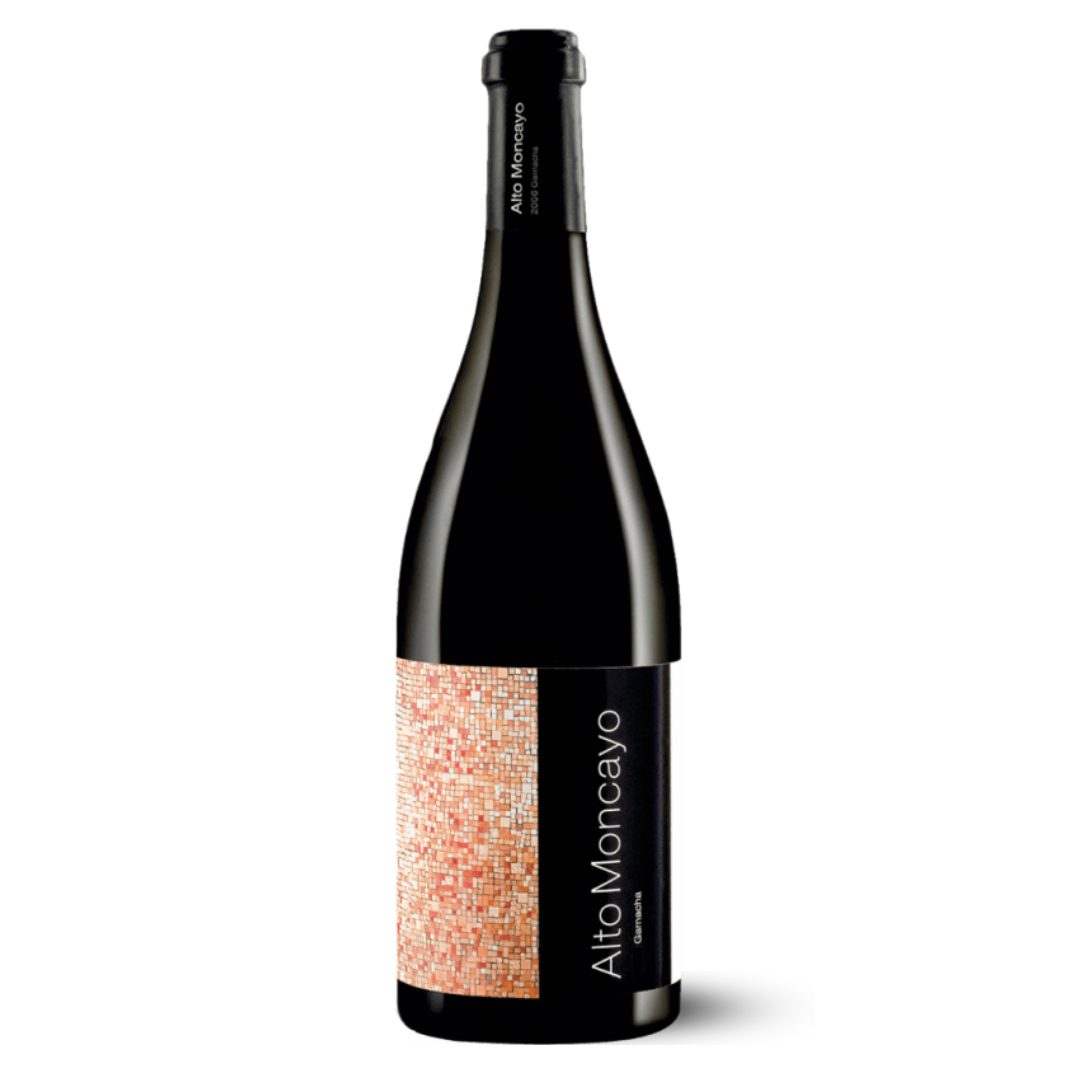 Alto Moncayo 2009 - RP100