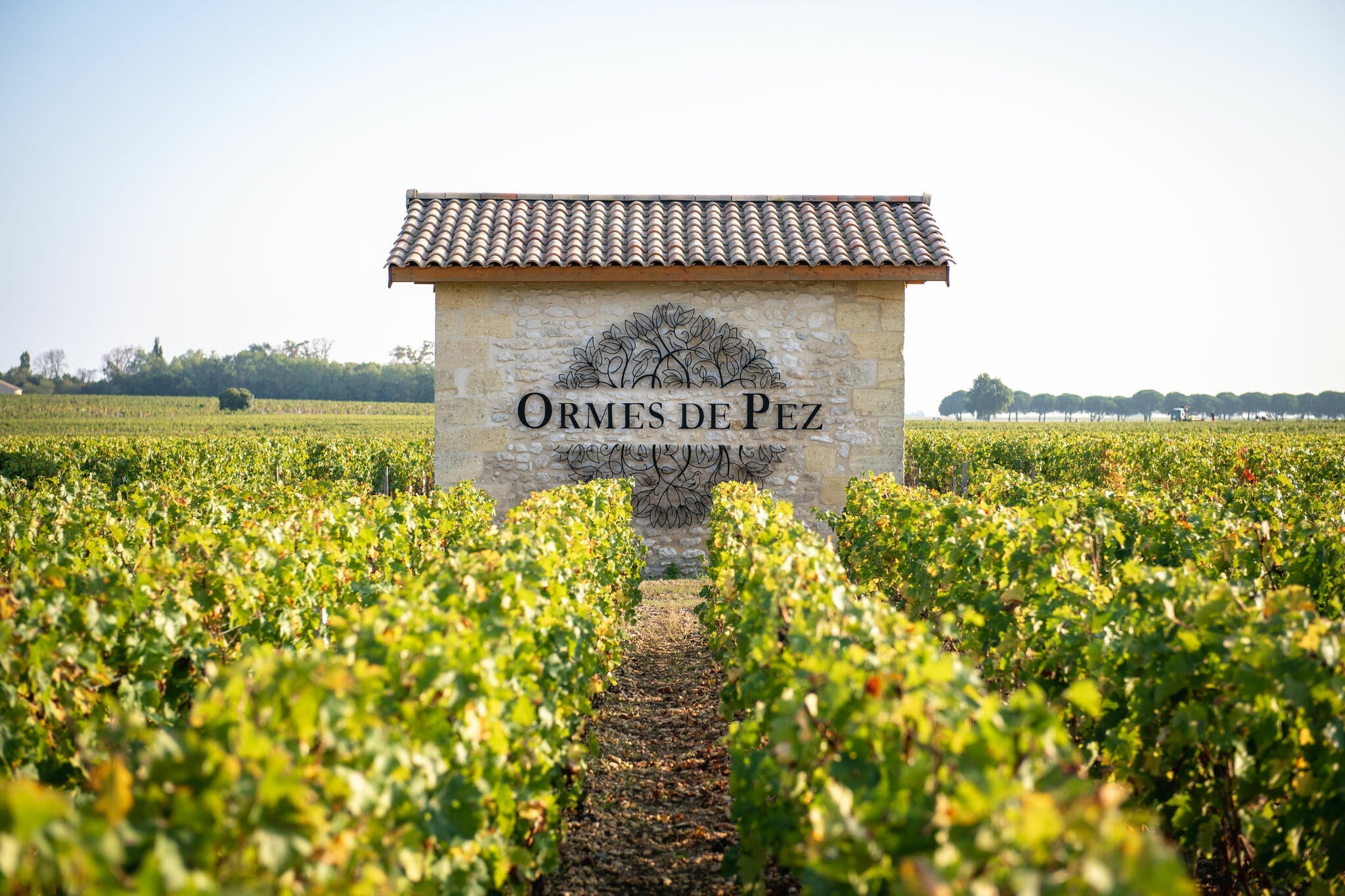 Château Ormes de Pez