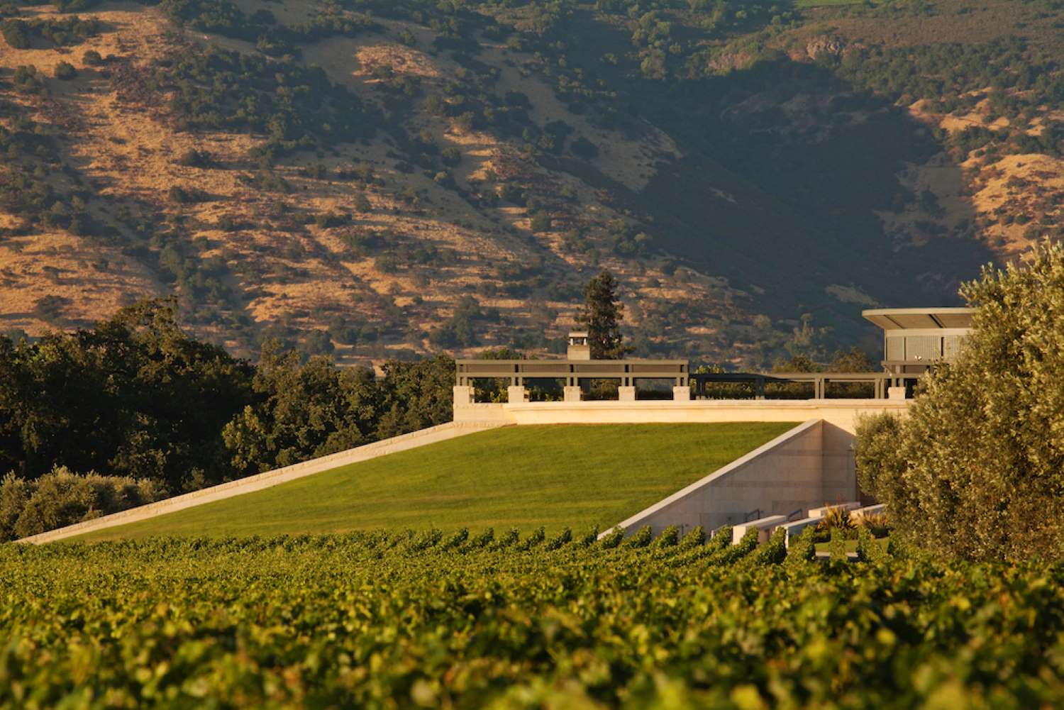 Opus One