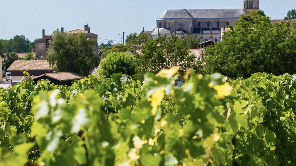 Clos du Marquis