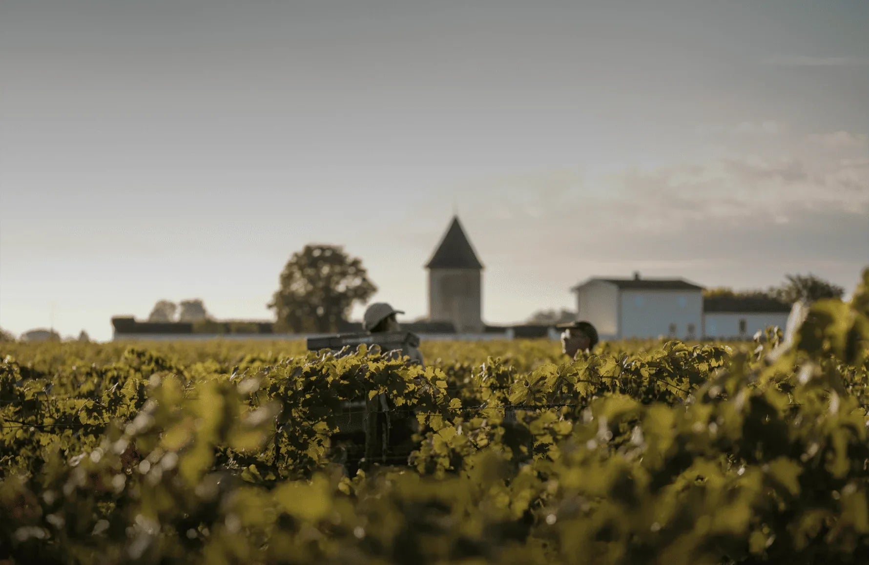 Château La Lagune
